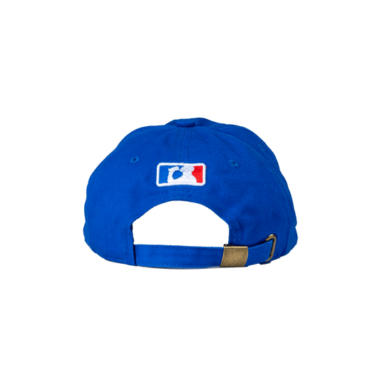 Dodger Dad Hat